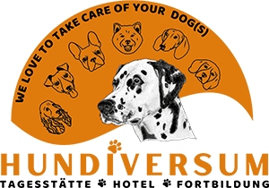 Hundiversum DogCare GmbH - HUNDIVERSUM DogCare GmbH - Ihre Hundetagesstätte
